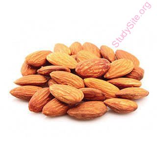 almond (Oops! image not found)