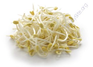 Bean-sprout (Oops! image not found)