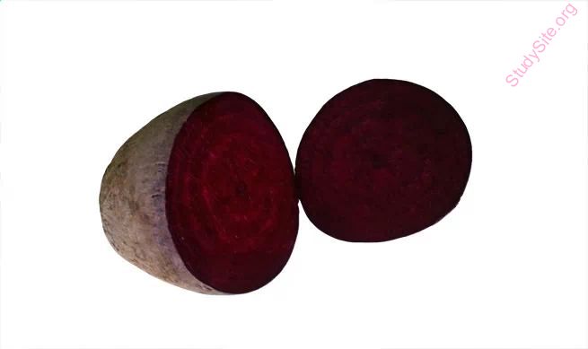 beet (Oops! image not found)