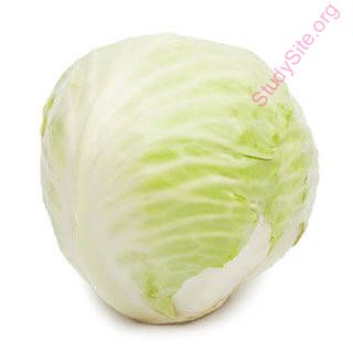 cabbage (Oops! image not found)