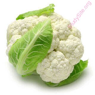 cauliflower (Oops! image not found)