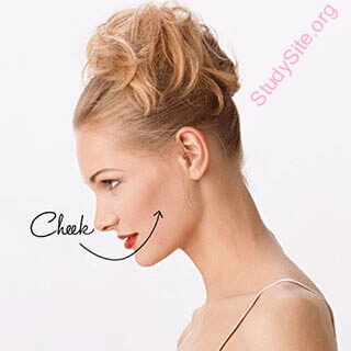 cheek (Oops! image not found)