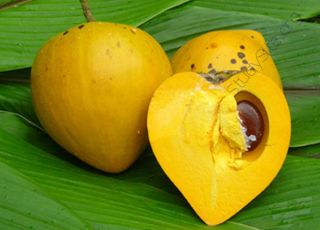 Egg-fruit (Oops! image not found)