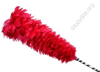 Feather-Duster (Oops! image not found)