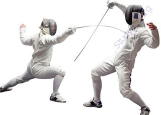 Fencing (Oops! image not found)