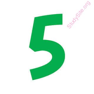 five (Oops! image not found)
