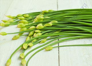 Garlic-chives (Oops! image not found)