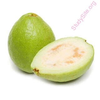 guava (Oops! image not found)