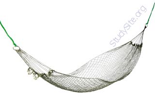 Hammock (Oops! image not found)