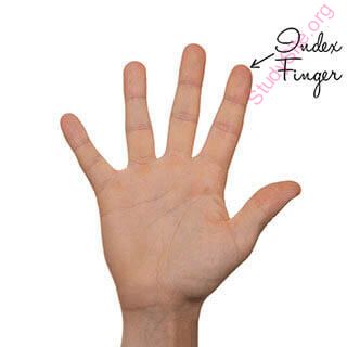 indexfinger (Oops! image not found)