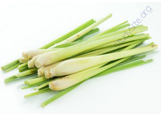 Lemon-grass (Oops! image not found)