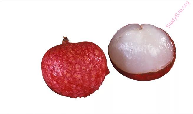 litchi (Oops! image not found)