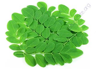 Moringa (Oops! image not found)