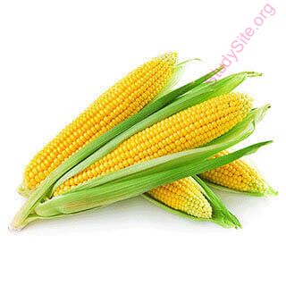 maize (Oops! image not found)