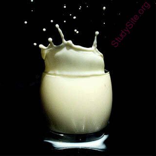 milk (Oops! image not found)