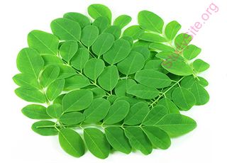 moringa (Oops! image not found)