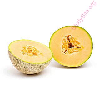 muskmelon (Oops! image not found)