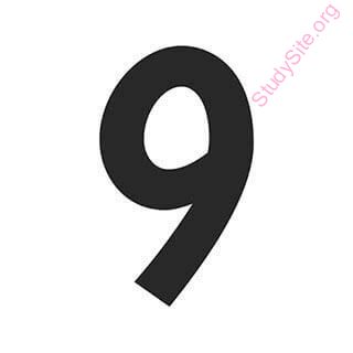 nine (Oops! image not found)