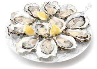 Oyster (Oops! image not found)