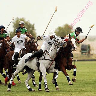 polo (Oops! image not found)