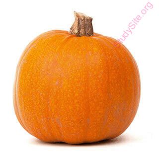 pumpkin (Oops! image not found)