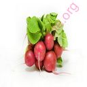 radish (Oops! image not found)