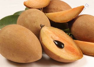 Sapodilla (Oops! image not found)