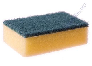 Sponge (Oops! image not found)