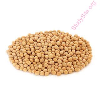 soybean (Oops! image not found)
