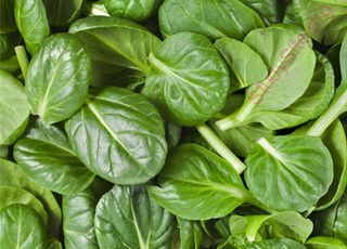spinach (Oops! image not found)