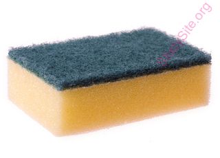 sponge (Oops! image not found)