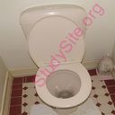 toilet (Oops! image not found)