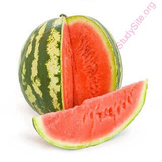watermelon (Oops! image not found)